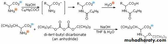 Biochemistry