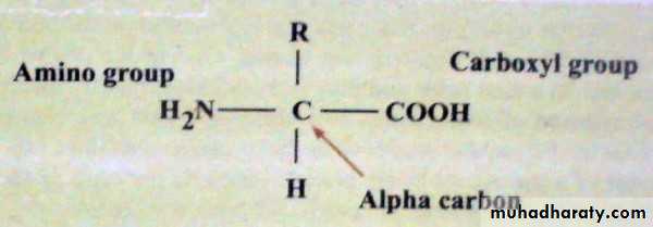 Biochemistry