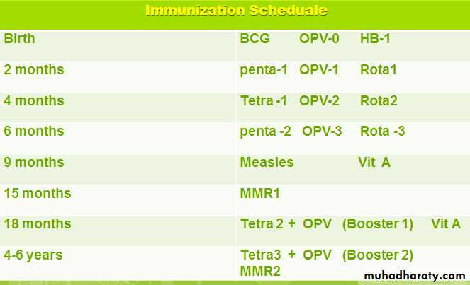 IMUNIZATION