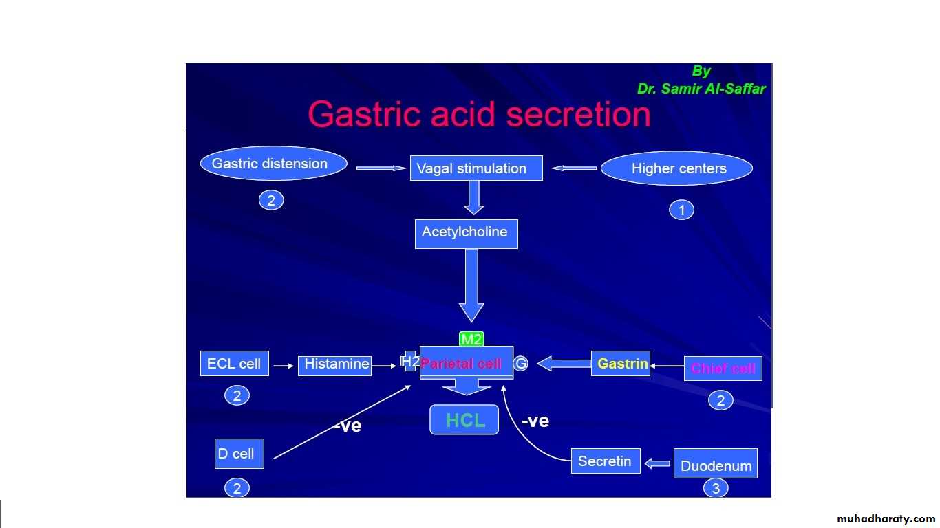 surgery of stomach and duodenum