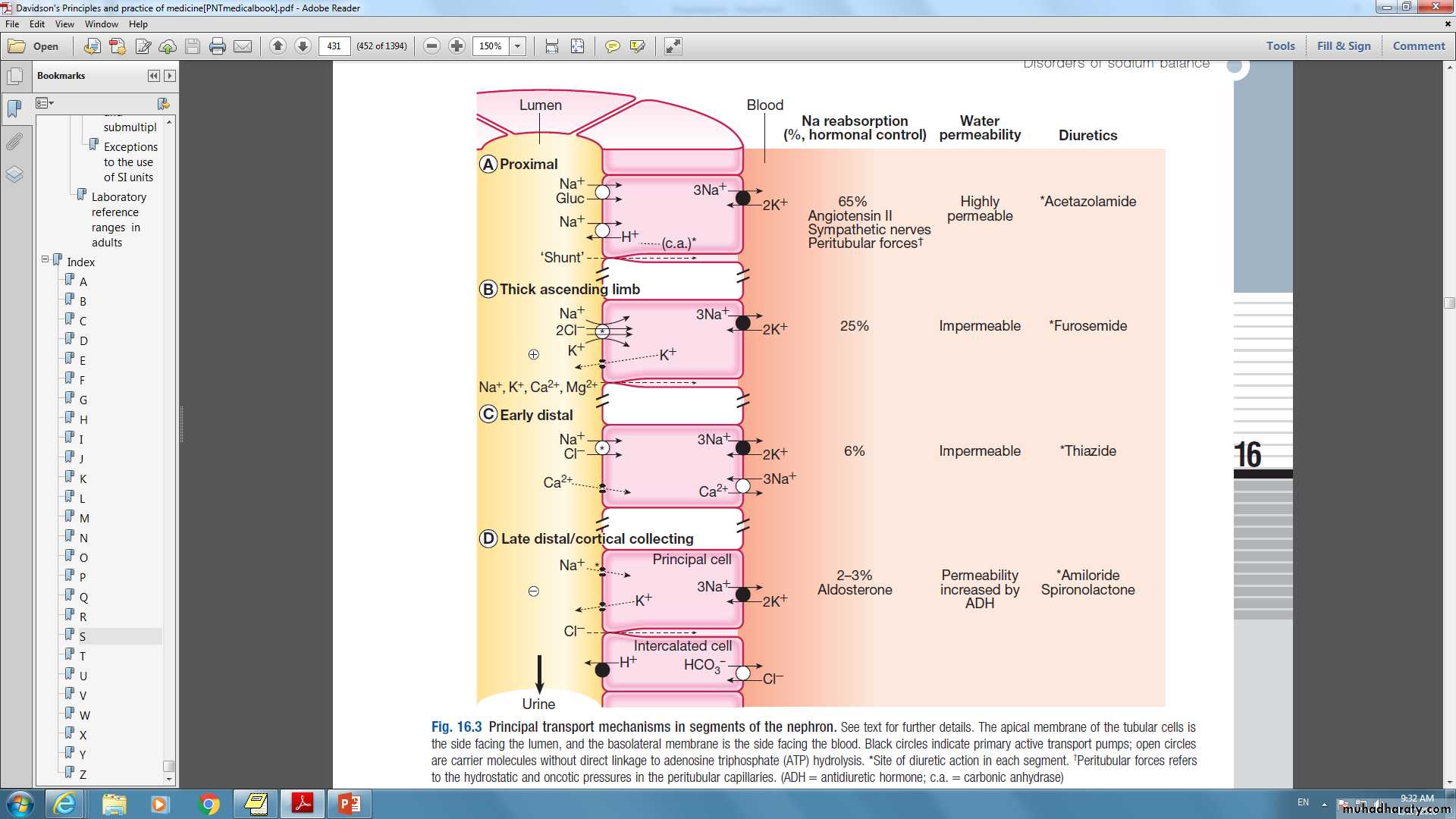 DISORDERS OF electrolytes imbalance
