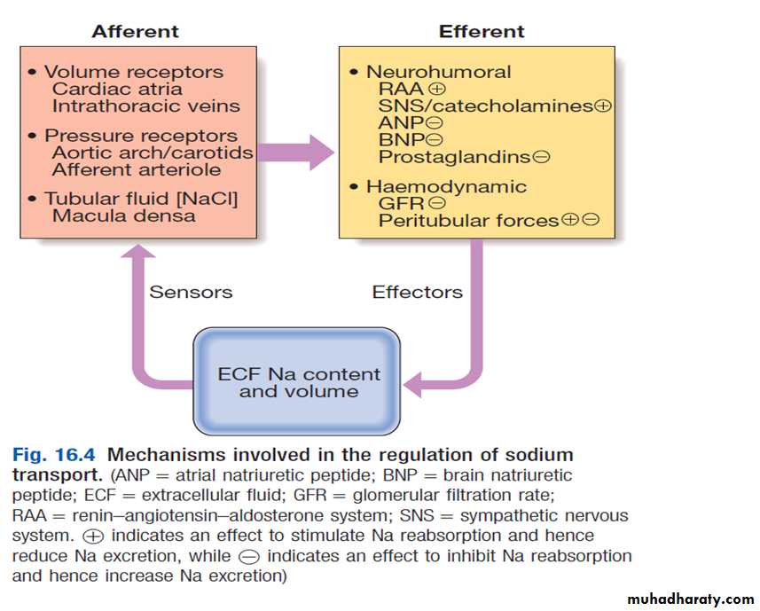 DISORDERS OF electrolytes imbalance