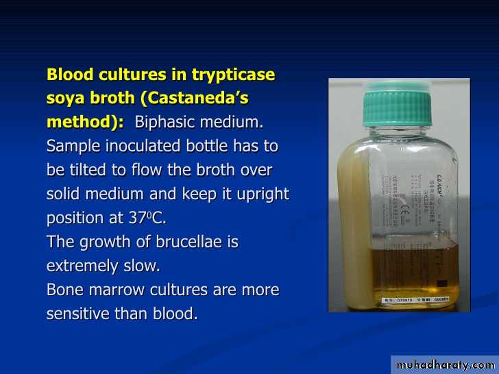 Fastidious Gram Negative Coccobacilli