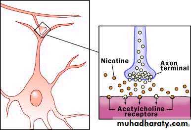 Nicotine and tobacco toxicity