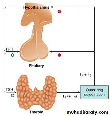 conjenital hypothyrodysm