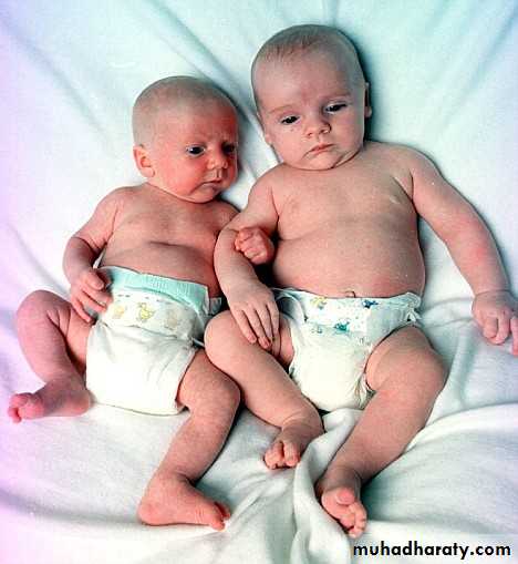 prolong pregnancy