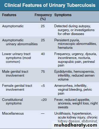 urinary tract infection2