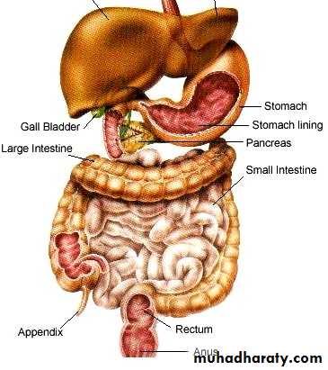 Hormones