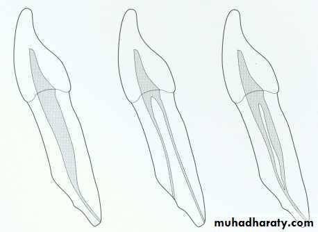 Endodontics