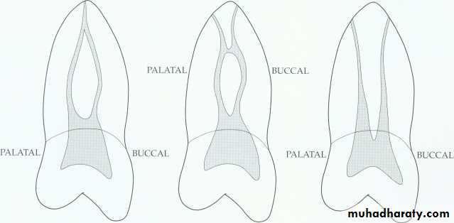 Endodontics