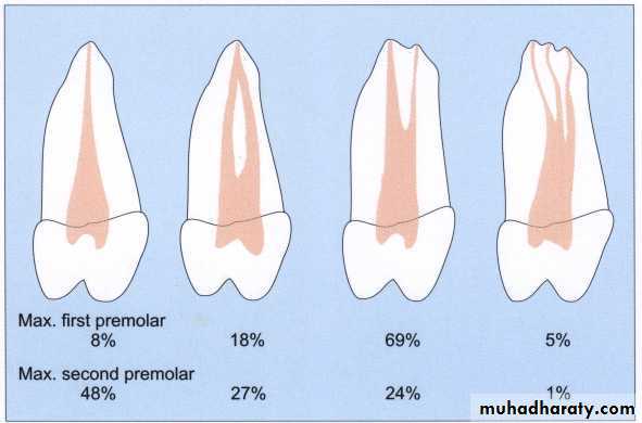 Endodontics