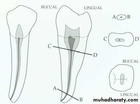 Endodontics