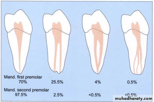 Endodontics
