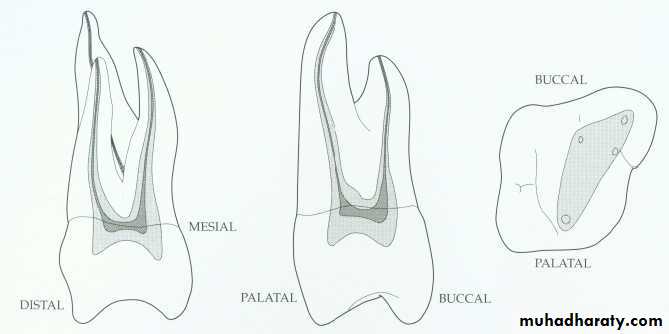 Endodontics