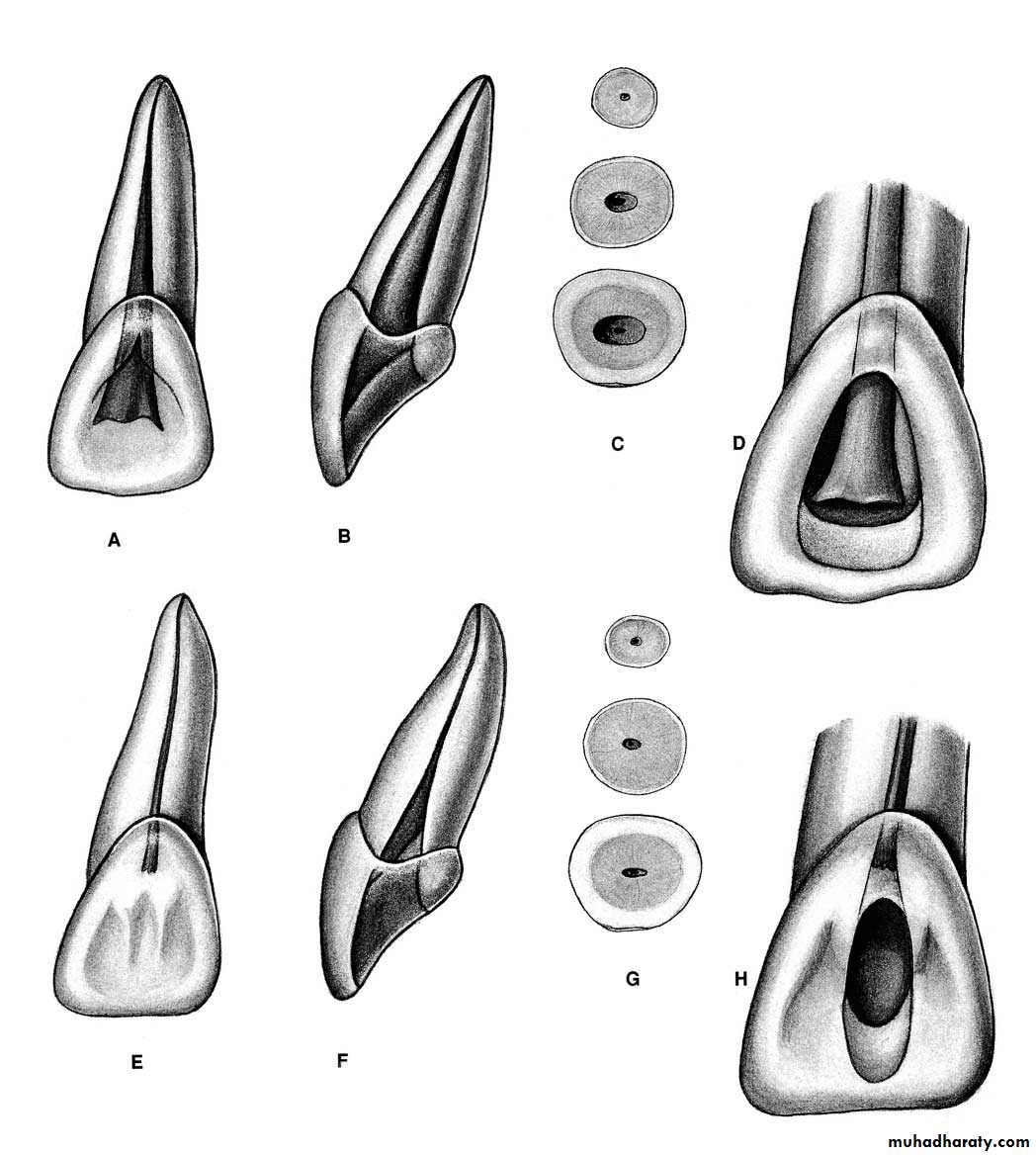 Endodontics