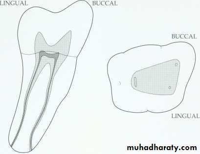 Endodontics