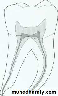 Endodontics