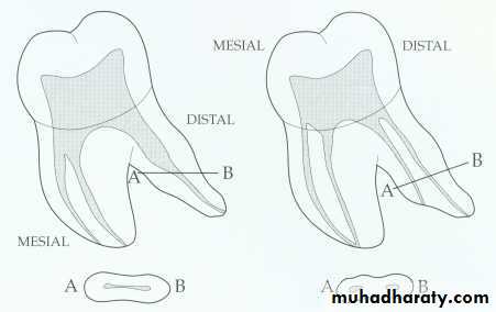 Endodontics