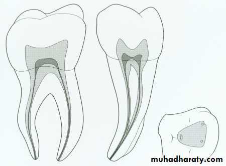 Endodontics