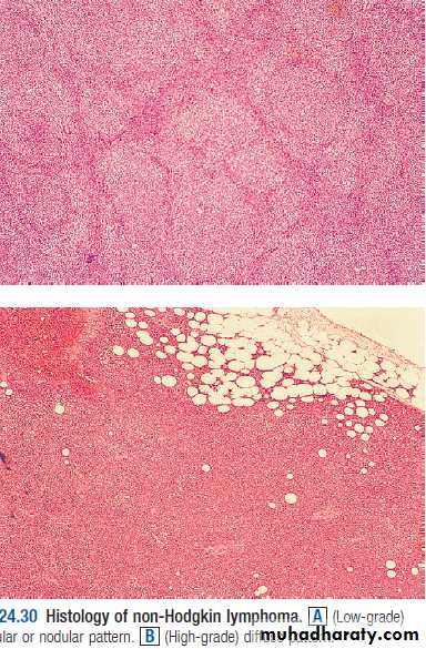 Hematology