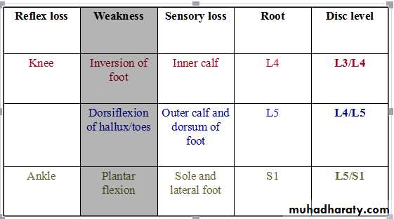 nerve disease