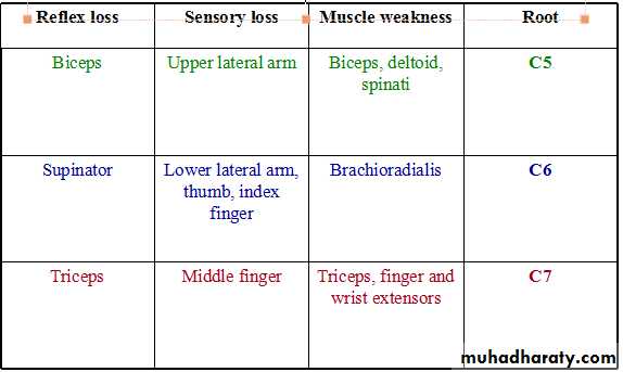 nerve disease
