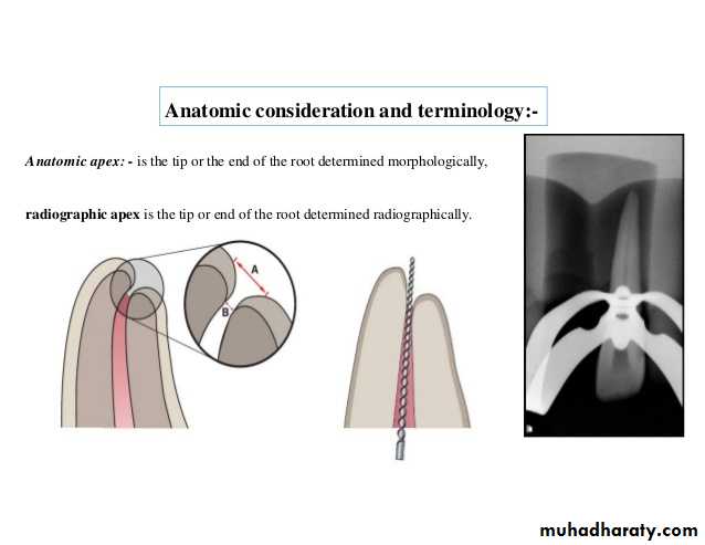 Endodontics