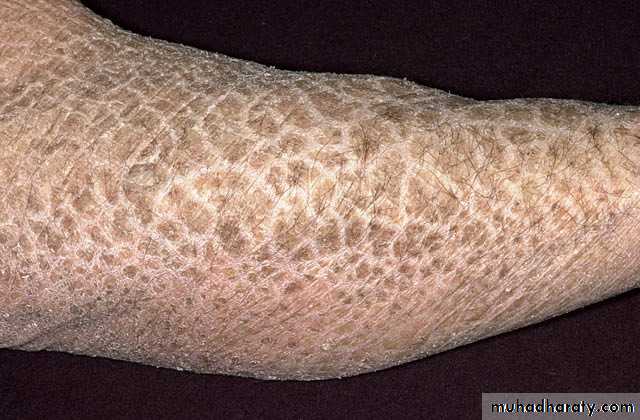 Dermatology sessions