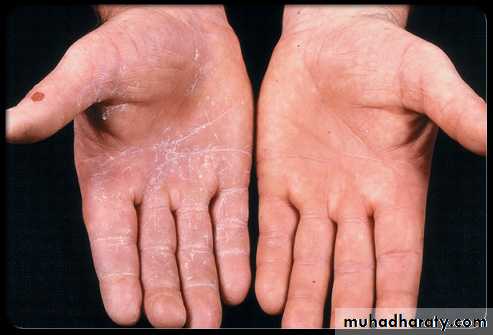 Dermatology sessions