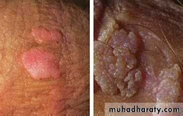 Dermatology sessions
