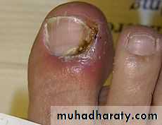 Dermatology sessions