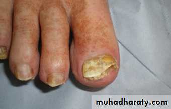 Dermatology sessions