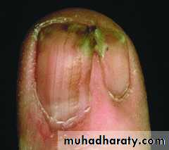 Dermatology sessions