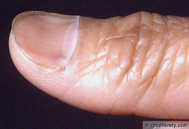 Dermatology sessions