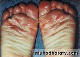 Dermatology sessions
