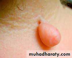 Dermatology sessions