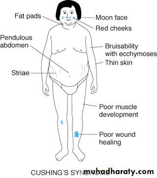 Endocrine
