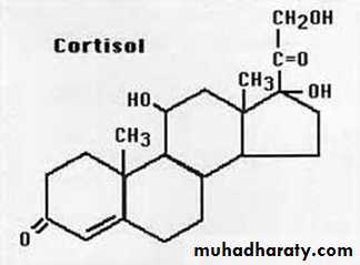 Endocrine