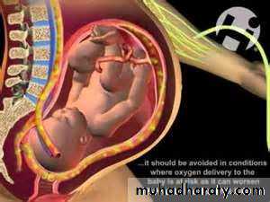 Reproductive