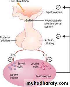 Reproductive