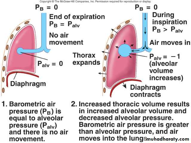 Respiratory