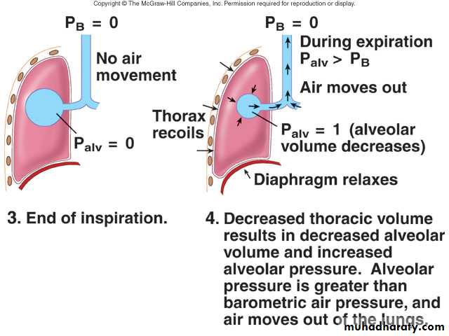 Respiratory