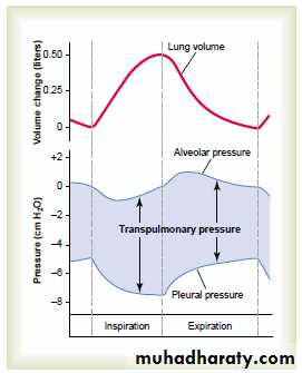 Respiratory