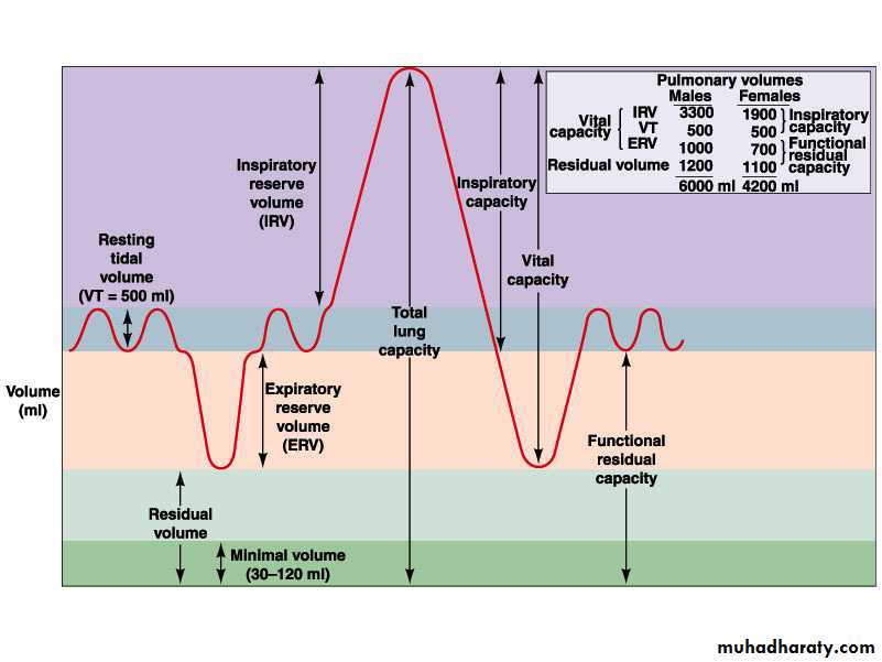 Respiratory