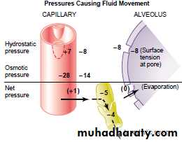 Respiratory