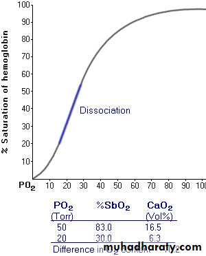 Respiratory