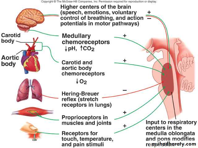 Respiratory
