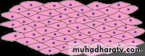Circulatory system