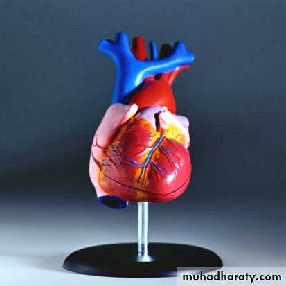 INTRA CARDIAC BULLET WITH INTRA VASCULAR PULMONARY EMBOLIZATION