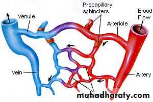Peripheral Vascular Diseases